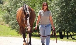 Rocky Mountain School Animal Acupressure and Massage RMSAAM